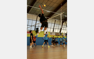 68d02336a2cbd_IMG4118.jpeg